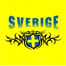 Sverigetröja 9