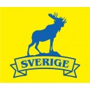 Sverigetröja 10