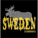 Sverigetröja 16