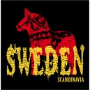 Sverigetröja 18